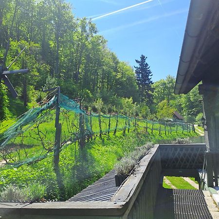 Das Altsteirische Landhaus - La Maison De Pronegg - Feriendomizil Im Biosphaerenpark Wienerwald Pressbaum Eksteriør bilde