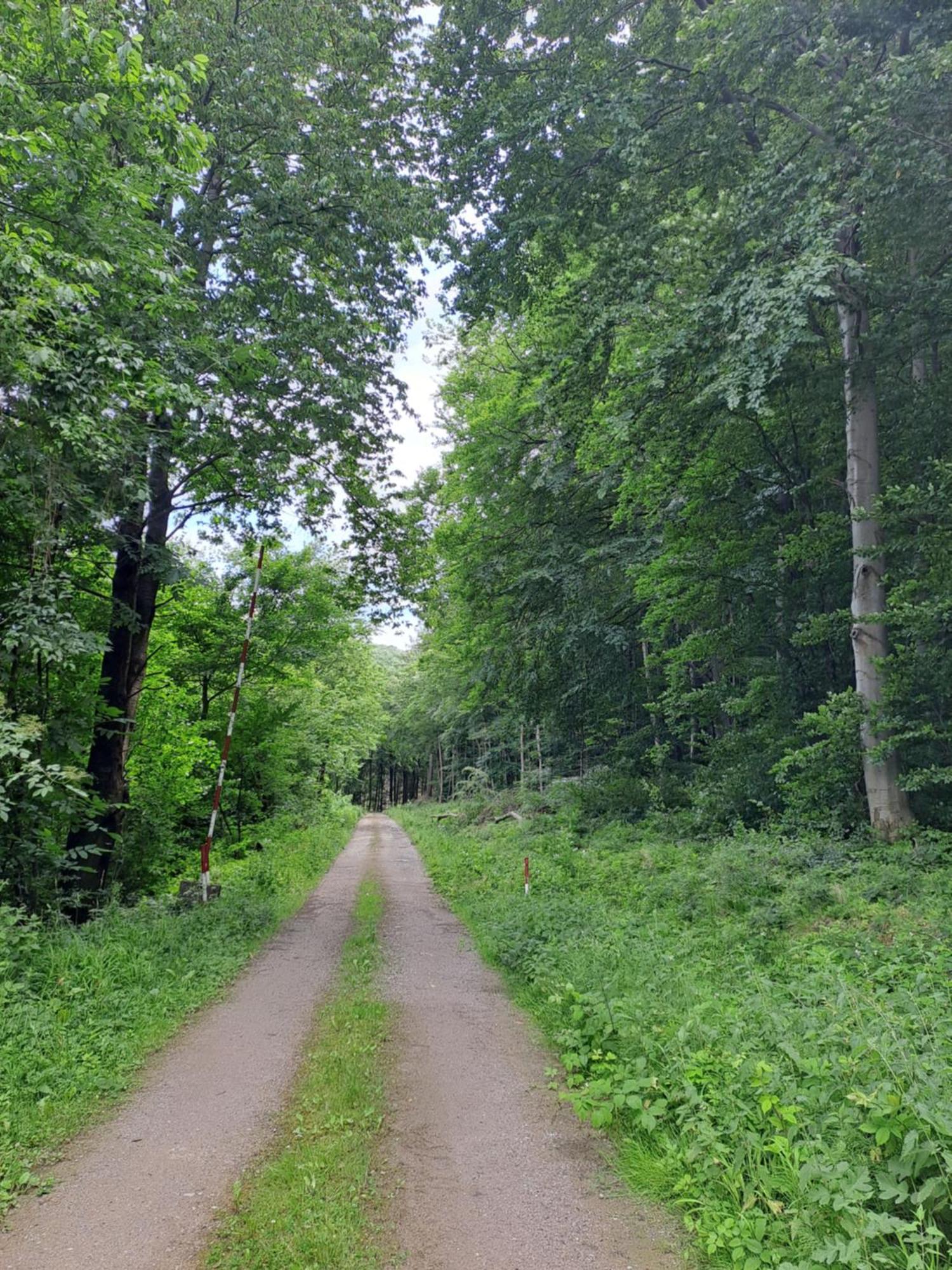 Das Altsteirische Landhaus - La Maison De Pronegg - Feriendomizil Im Biosphaerenpark Wienerwald Pressbaum Eksteriør bilde