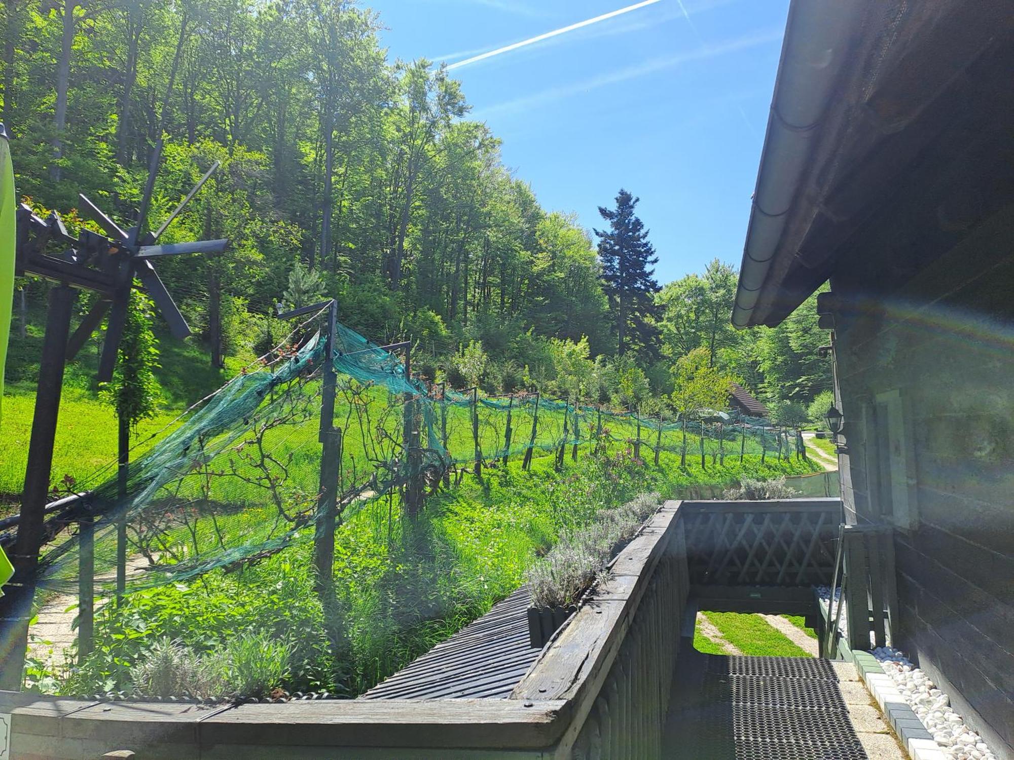 Das Altsteirische Landhaus - La Maison De Pronegg - Feriendomizil Im Biosphaerenpark Wienerwald Pressbaum Eksteriør bilde